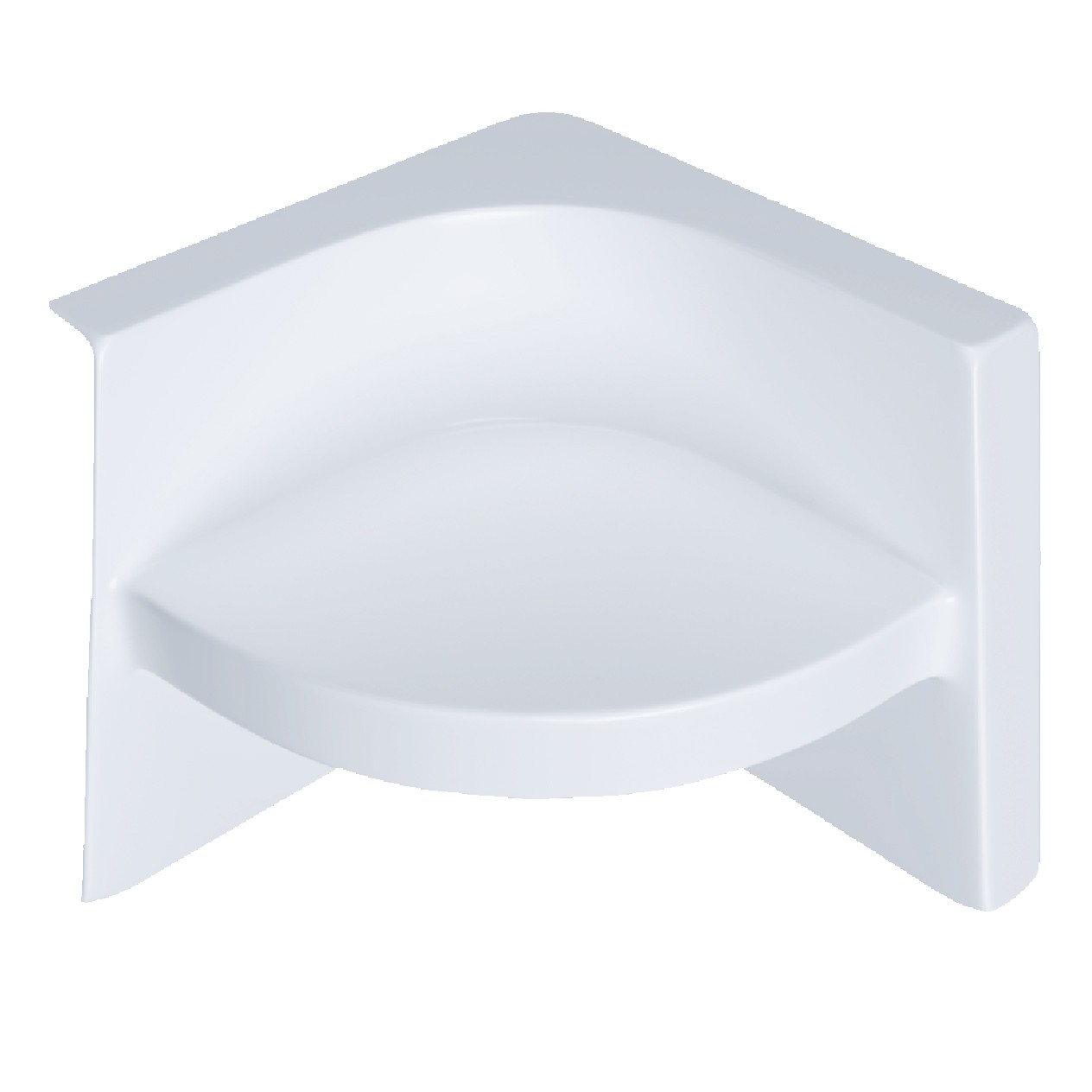 Naturel İç Fındık